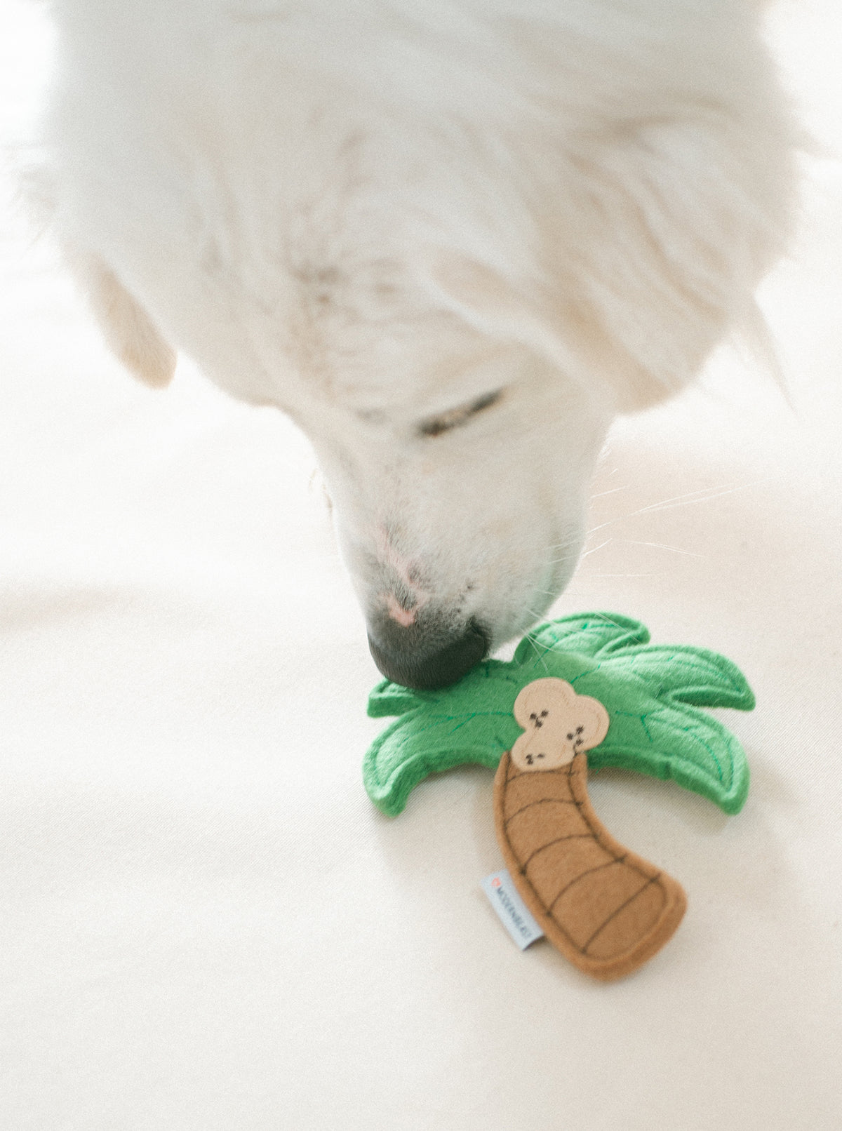 PALM TREE DOG TOY from HIT Living