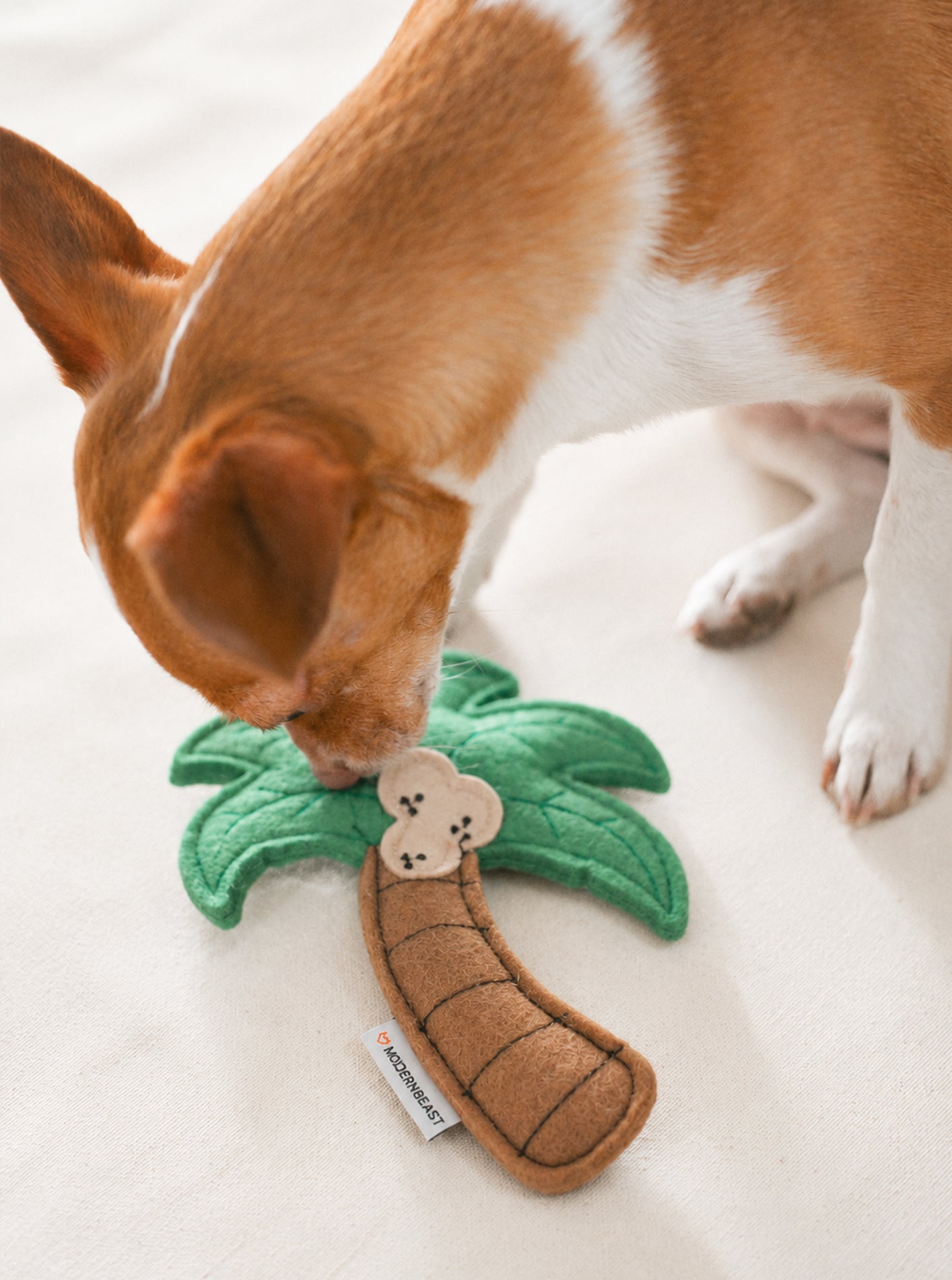 PALM TREE DOG TOY from HIT Living