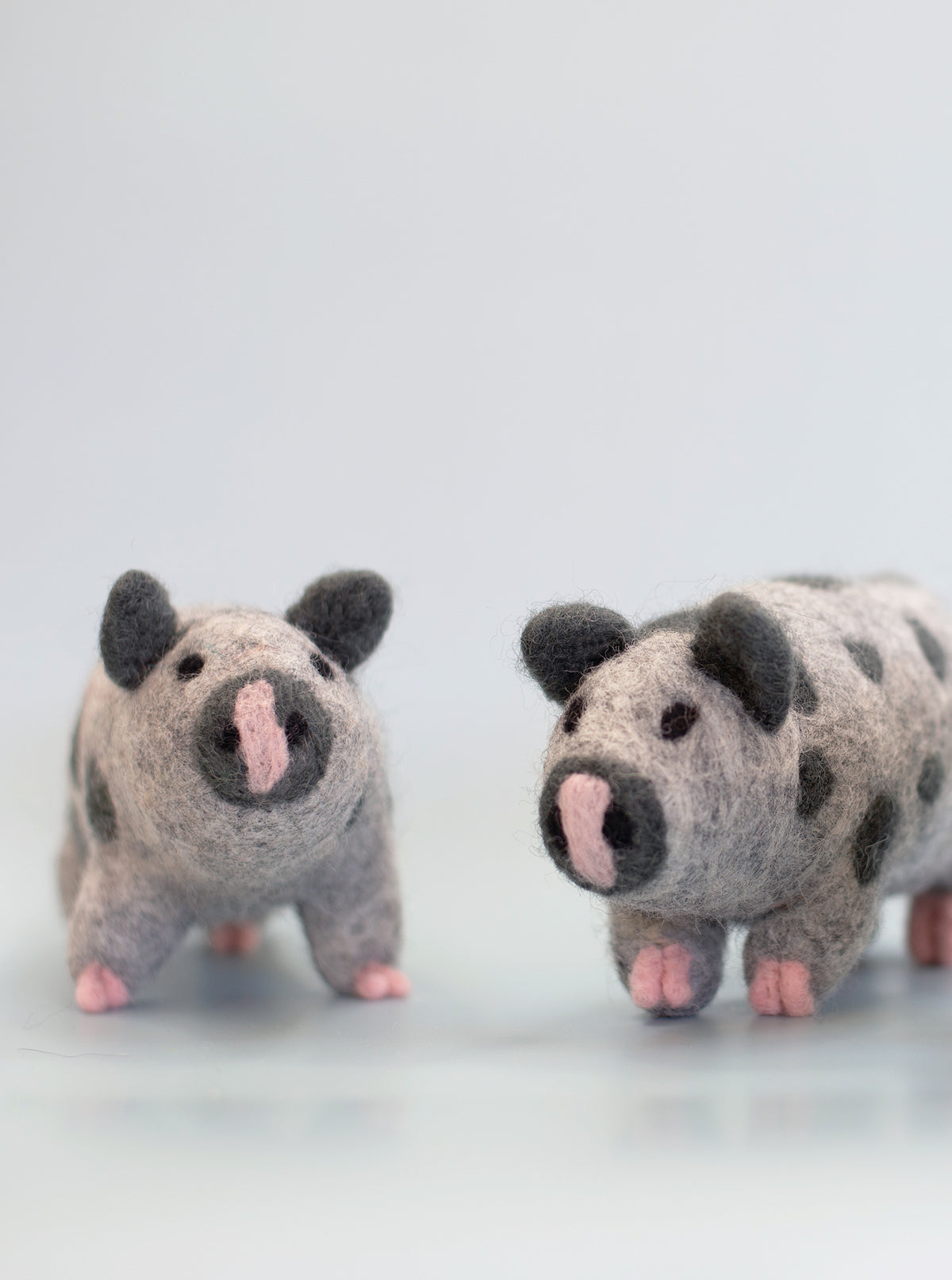 OCHO THE PIG from Aska's Animals