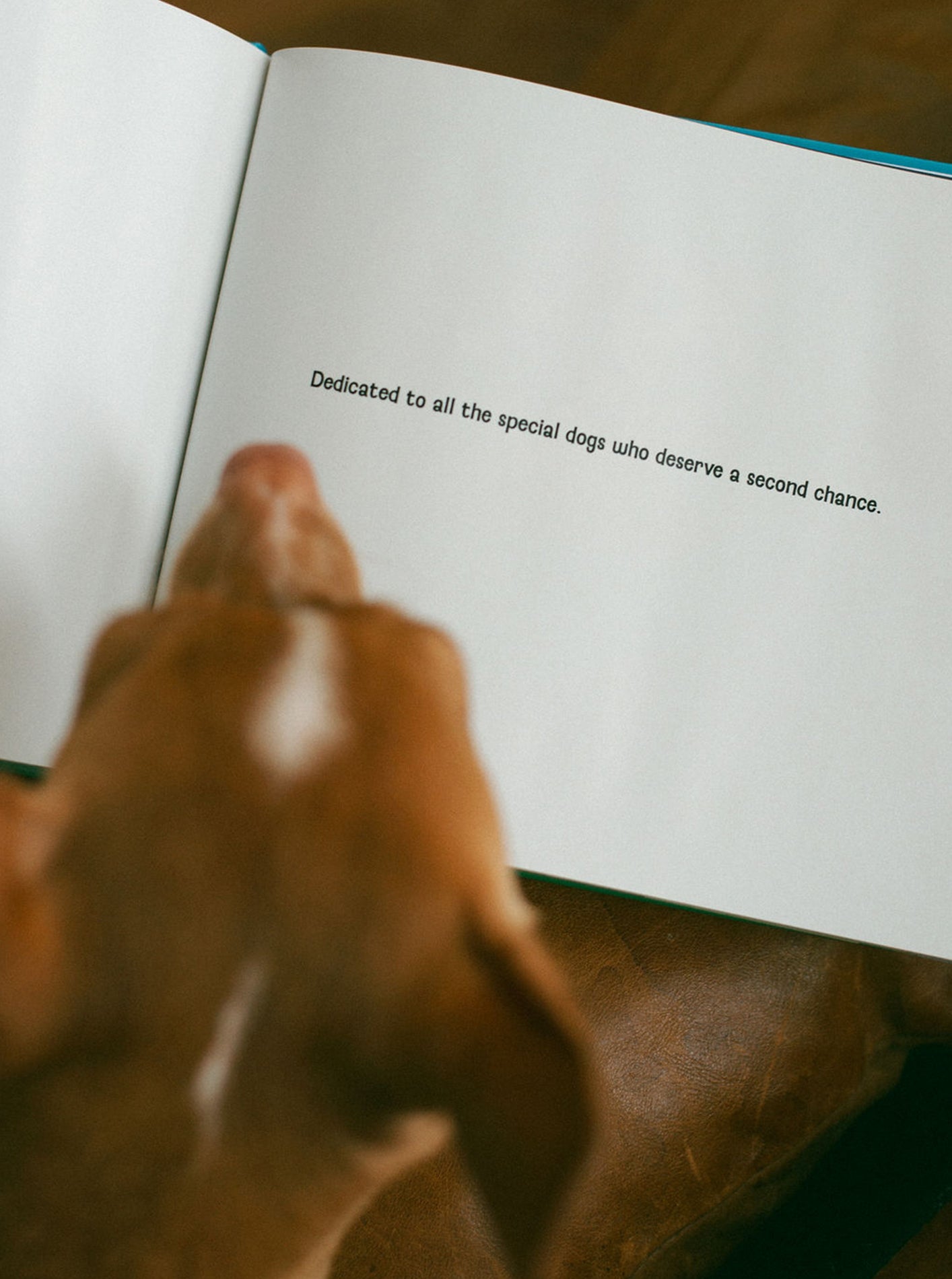 JOEY'S TWO-LEGGED LIFE: CHILDREN'S BOOK