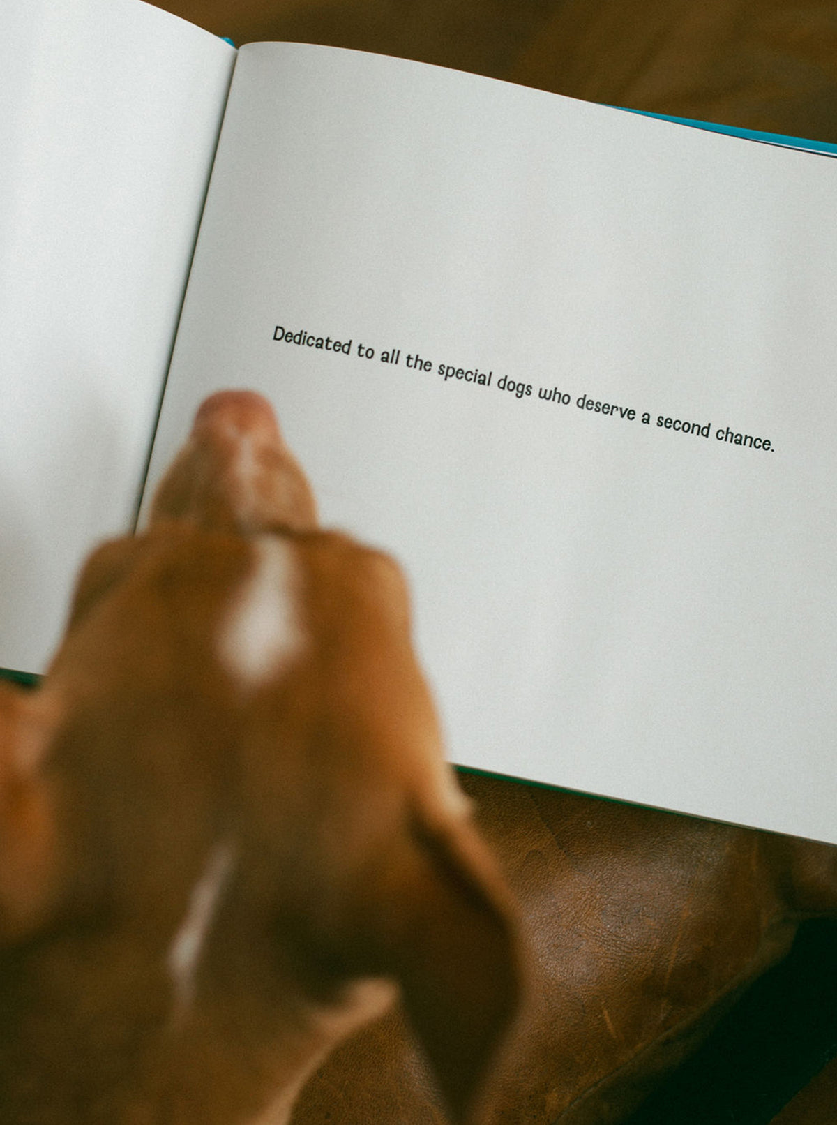 JOEY'S TWO-LEGGED LIFE: CHILDREN'S BOOK
